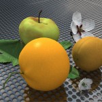 origimage_1_2406694