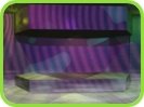 SHADER GEL AND STROBE Logo